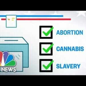 Abortion, Slavery And Marijuana Legalization Among Prime PollMeasure Factors